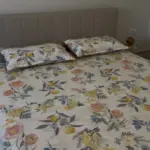 Set çarçafësh