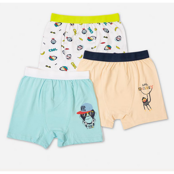 0030799_wholesale-boys-3-piece-boxer-3-12y-defne-1064-dfn-b031-22-mix.png Bokse për djem të vegjël (set me 3 copë) - Image 1